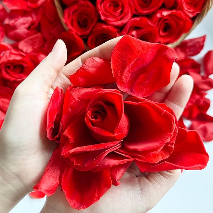 Real Dried Rose Petals – 300+PCS Freeze Dried Red Flower Petals for Weddings, Flower Girl Basket, Party Confetti, Romantic Night, Proposal Decor(2.82oz)