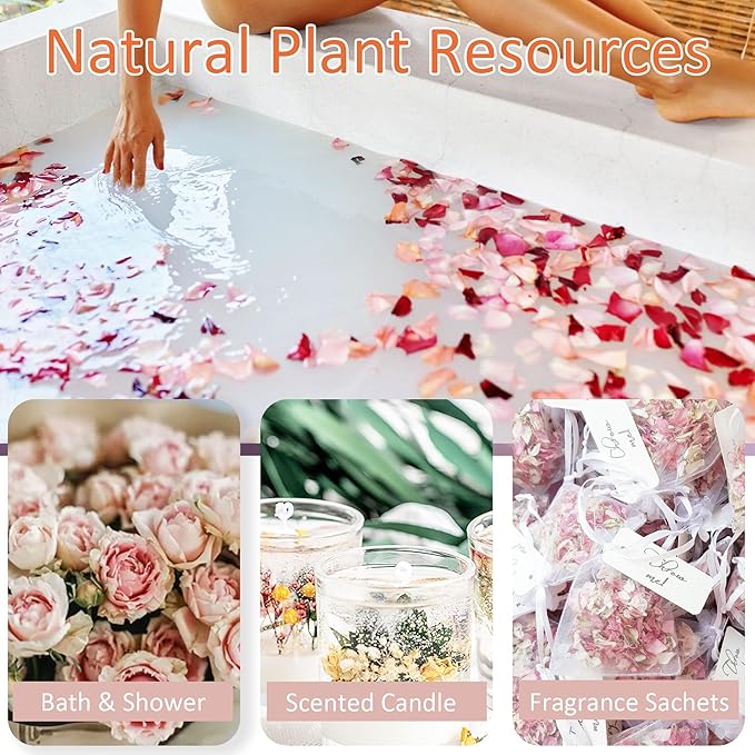 2.5 QT Dried Rose Flower Petals Biodegradable Confetti, 30 Cups Mix Real Natural White Pink Yellow Rose Petals for Wedding Proposal Party Valentine's Day Decor Flower Girls