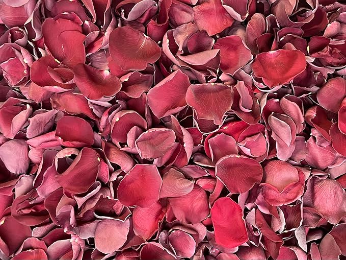 Rose Petals for Wedding Decoration, Bridal Toss, and Aisles, 10 cups, Freeze Dried, Use within 1 month (Burgundy)