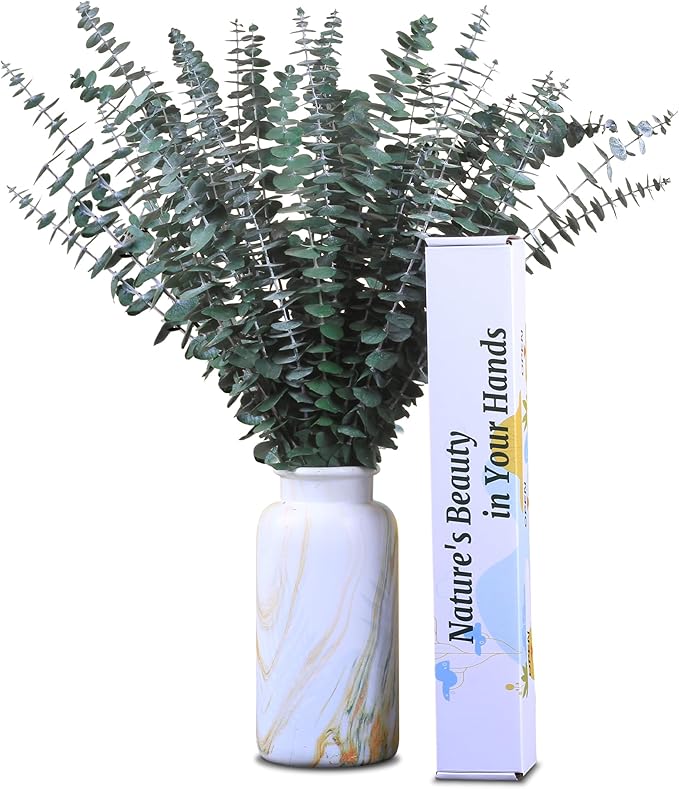 30Pcs Dried Eucalyptus Stems, 17" Real Preserved Eucalyptus Plant for Shower, Fresh Natural Branches for Vase, Eucalyptus Bundle for Home Decor, Wedding, Baby Shower, Bathroom