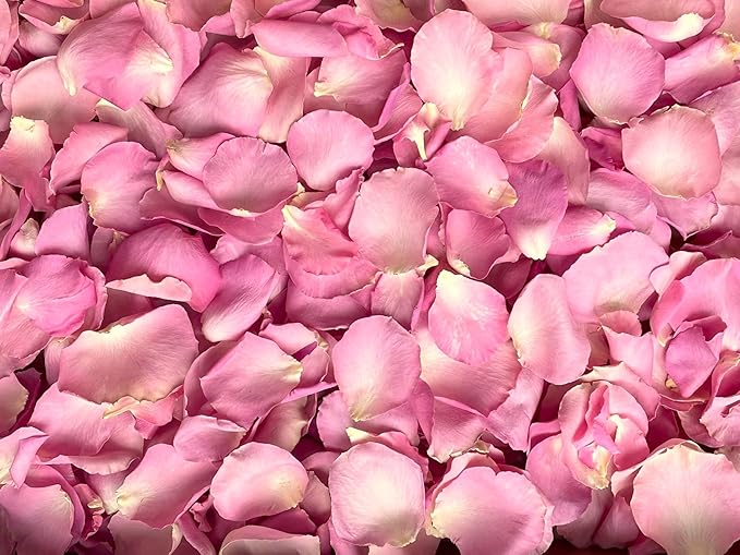 Rose Petals for Wedding Decoration, Bridal Toss, and Aisles, Freeze Dried, Use within 1 month (Pink, 2 cup Sample)