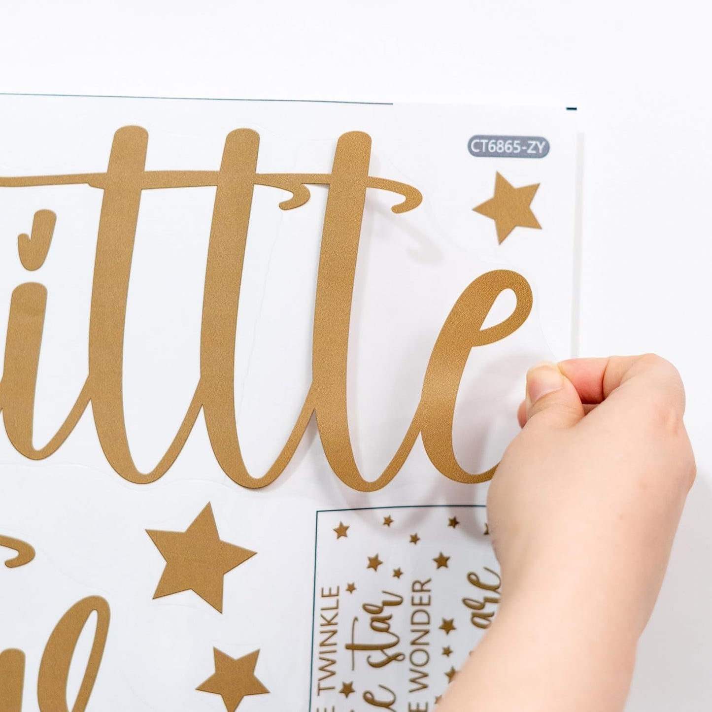 Twinkle Twinkle Little Star Gender Reveal Backdrop Sticker,Boy or Girl How We Wonder What You are Party Decorations, He or She Baby Shower Party Supplies (What You are Decal)