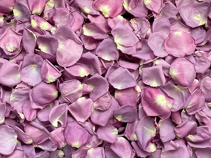 Rose Petals for Wedding Decoration, Bridal Toss, and Aisles, Freeze Dried, Use within 1 month (Purple, 2 cup Sample)