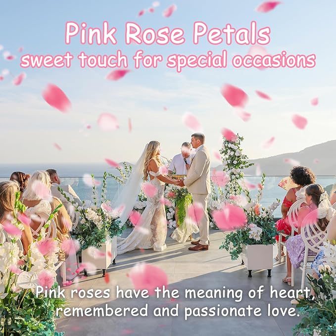 Real Pink Rose Petals – 180+PCS Freeze Dried Flower Confetti for Wedding, Proposal, Romantic Night, Table Centerpiece Décor (1.75oz/50g)