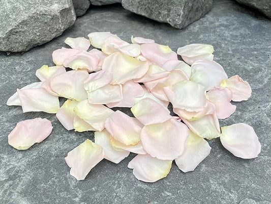 Rose Petals for Wedding Decoration, Bridal Toss, and Aisles, 10 cups, Freeze Dried, Use within 1 month (Blush)