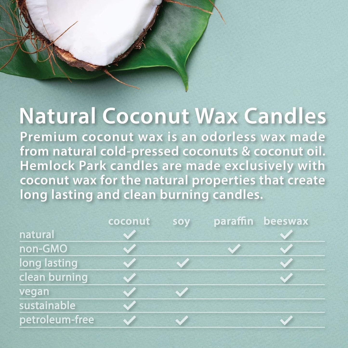 Hemlock Park Crackling Wood Wick Candle Handcrafted with Natural Coconut Wax (Large 16 oz, Palo Santo Mountain Sage)