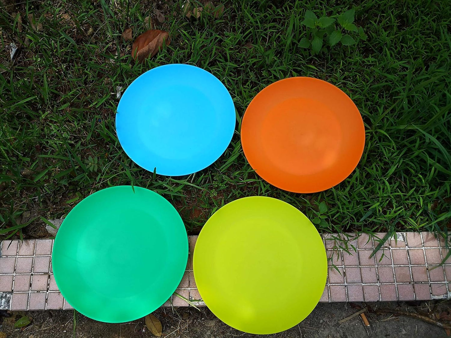 AOYITE Plastic Dinner Plates Reusable BPA Free Dishwasher Safe Microwaveable Plate for Any Occasion, BBQ, Travel, and Events (Multicolor set of 12)