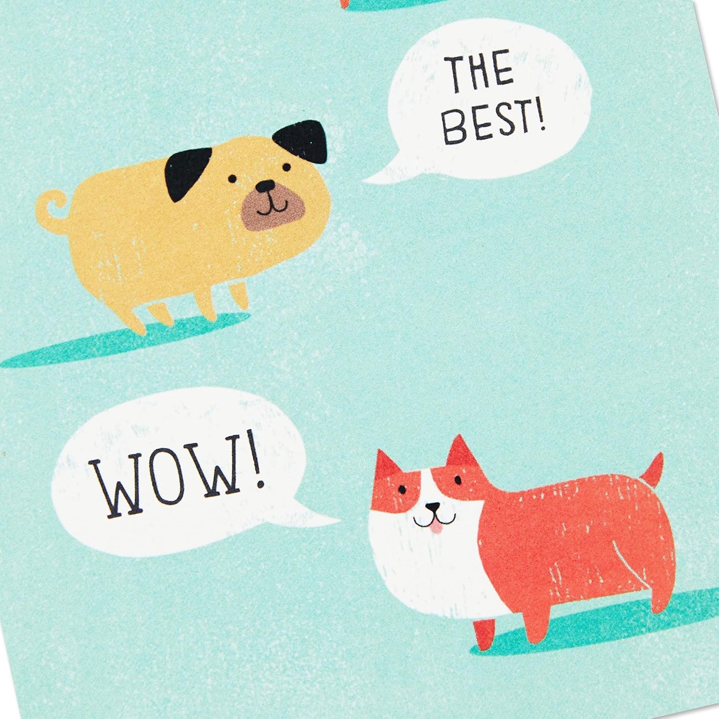 Hallmark Thank You Cards Assortment, Cute Dogs (48 Cards and Envelopes)