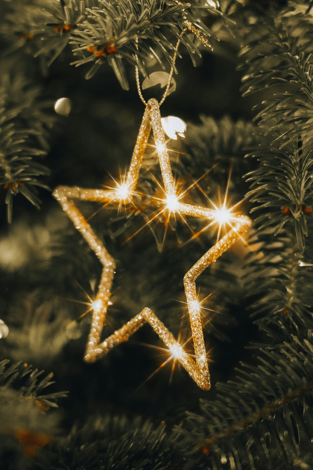 Seasonal Sparkle: Holiday Hosting Made Easy and Stress-Free