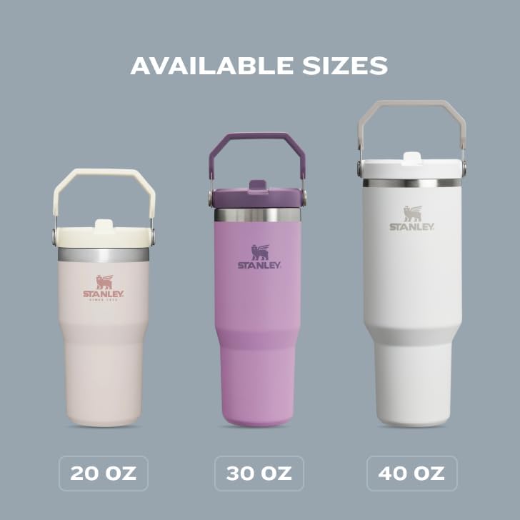 Stanley IceFlow Flip Straw Tumbler with Handle 30 oz | Twist On Lid and Flip Up Straw | Leak Resistant Water Bottle | Insulated Stainless Steel |BPA-Free | Polar
