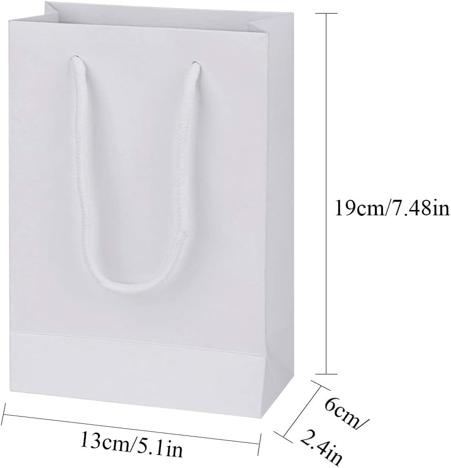 driew Kraft Paper Bags, Small White Gift Bags 5x2x7.5 inches with Cotton Handle Pack of 100 (White)