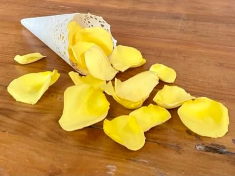Rose Petals for Wedding Decoration, Bridal Toss, and Aisles, 10 cups, Freeze Dried, Use within 1 month (Yellow)