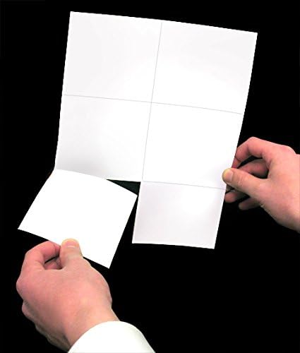 NextDayLabels - Laser Printer Blank Perforated Cards 6 up per Page, for School Registration, Delivery, Inventory Tags, Response, RSVP, Trip Tickets, ETC, 1200 White Cards
