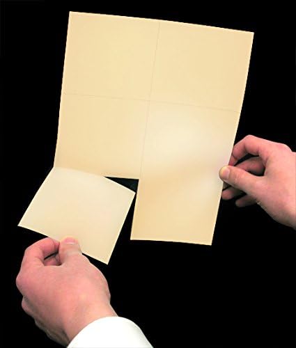 NextDayLabels - Laser Printer Blank Cards, Perforated 6 Up, School Registration, Flower Delivery, Inventory Tags, RSVP, Trip Tickets (Manila, 1200 Cards)