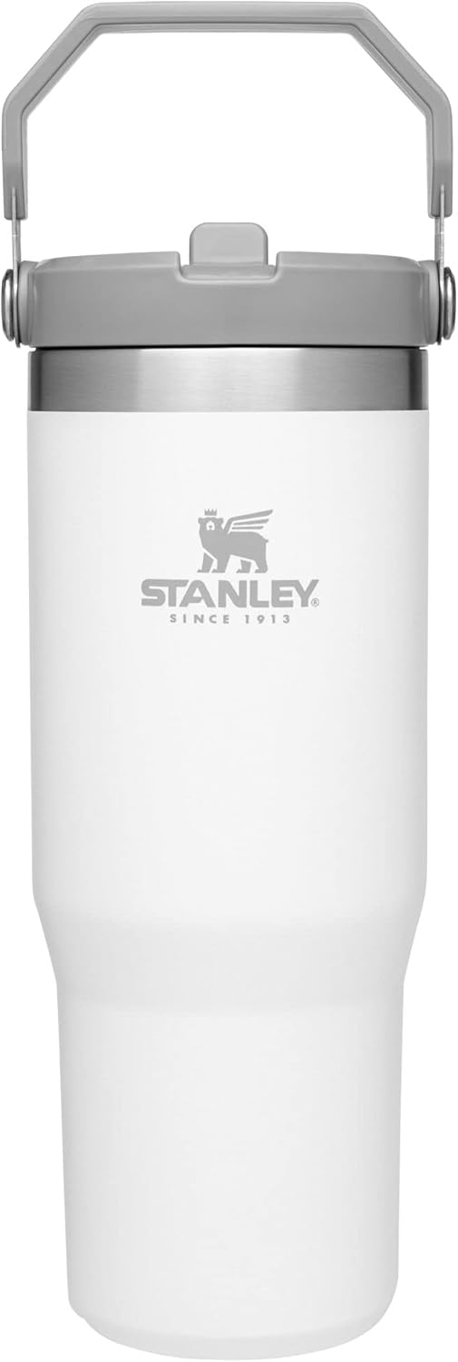 Stanley IceFlow Flip Straw Tumbler with Handle 30 oz | Twist On Lid and Flip Up Straw | Leak Resistant Water Bottle | Insulated Stainless Steel |BPA-Free | Polar