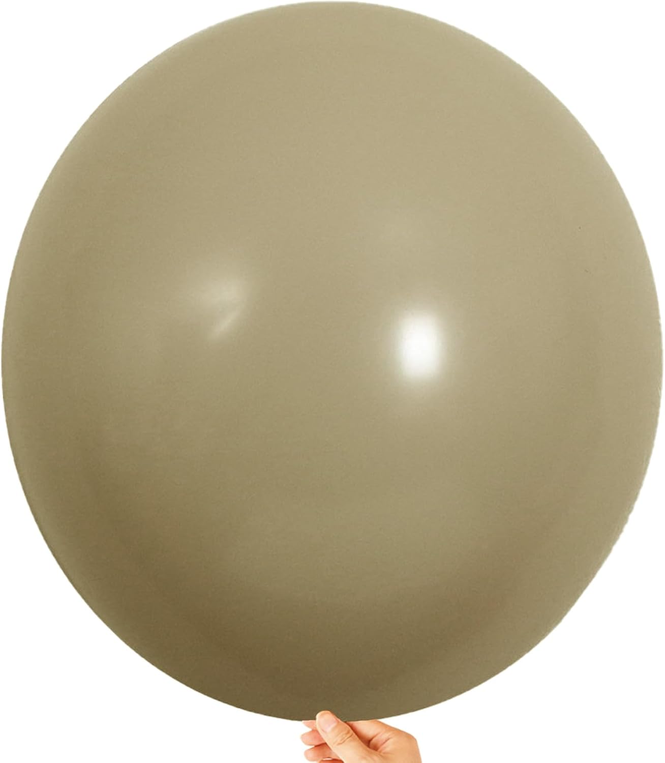 KALOR 18 inch Comellia Balloons, 10pcs Thick Latex Round Helium Balloons for Birthday Family Party Wedding Party Baby Shower Decoration Supplies