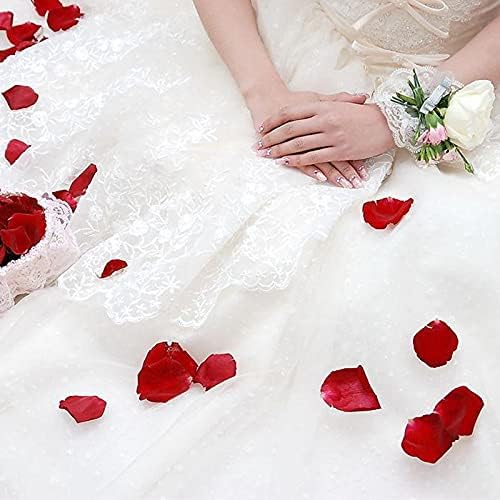 Dried Red Rose Petals 1.75oz/50g, Real Natural Dried Rose Petals for Bath, Soap Making, Candle Making, Wedding, Confetti, DIY Crafts, Non Edible (Red)