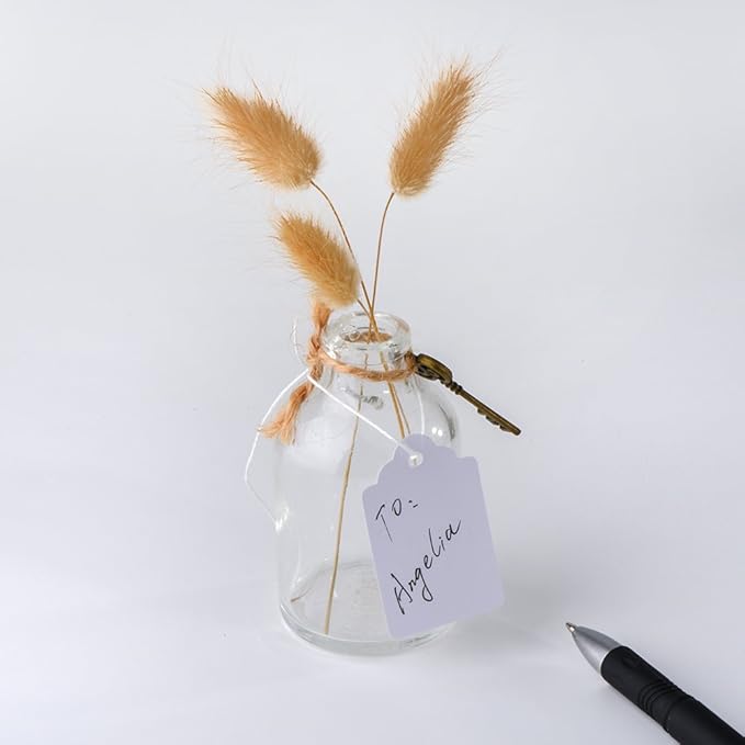 Price Tags with String Attached, 1000pcs White Matte Surface Marking Merchandise Strung Tags Writable Label Small Hang Tag for Pricing Gift Jewelry Clothing Yard Sale Garage Supplies 1.75 x 1.093 inch