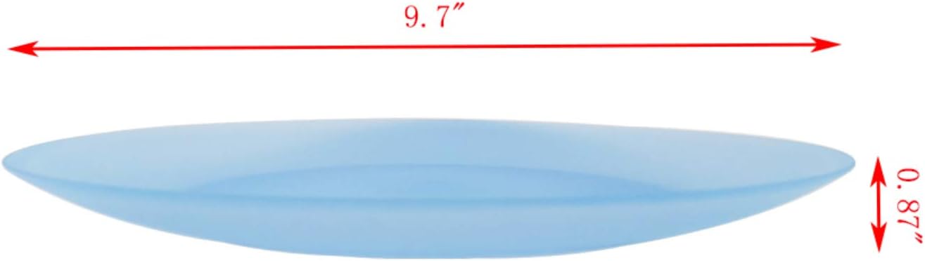 AOYITE 10 inch Plastic Plates Reusable - Lightweight Flat Dinner Plates set of 12 - BPA Free Dishwasher Safe & Microwave Plate for Kids Kitchen Party Camping Outdoor