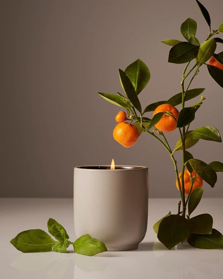 Homecourt Luxury Scented Candle, Mandarin Basile Scent, 60-Hour Burn Time, Soy Wax Blend, Organic Cotton Wick, Kiln-Fired Reusable Ceramic Vessel, 8 Oz, 2.0