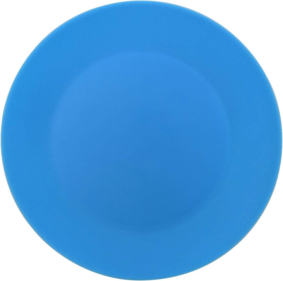AOYITE Plastic Dinner Plates Reusable BPA Free Dishwasher Safe Microwaveable Plate for Any Occasion, BBQ, Travel, and Events (Multicolor set of 12)