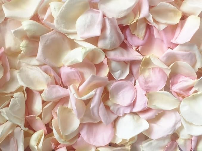 Rose Petals for Wedding Decoration, Bridal Toss, and Aisles, 10 cups, Freeze Dried, Use within 1 month (Blush/Ivory)