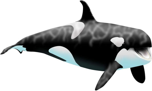 VWAQ Giant Orca Whale Wall Decal Peel and Stick Killer Whale Ocean Wall Art (30" H X 50" W)