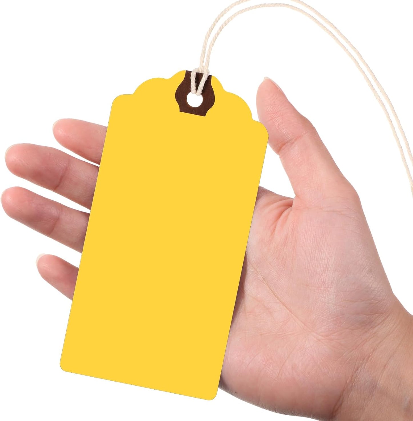 Outus 60 Pcs 4 3/4-in x 2 3/8-in Blank Large Paper Gift Tags with String and Reinforced Eyelet Wire Writable Price Tags Shipping Labels Inventory Labels(Autumn Colors)