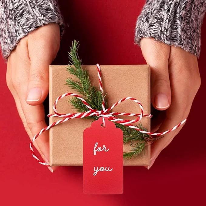 G2PLUS 100PCS Red Gift Tags with String, 2'' x 4'' Blank Paper Gift Tags with Twine for Gift Wrapping, Arts & Crafts, Wedding, Christmas, Thanksgiving, Valentine's Day