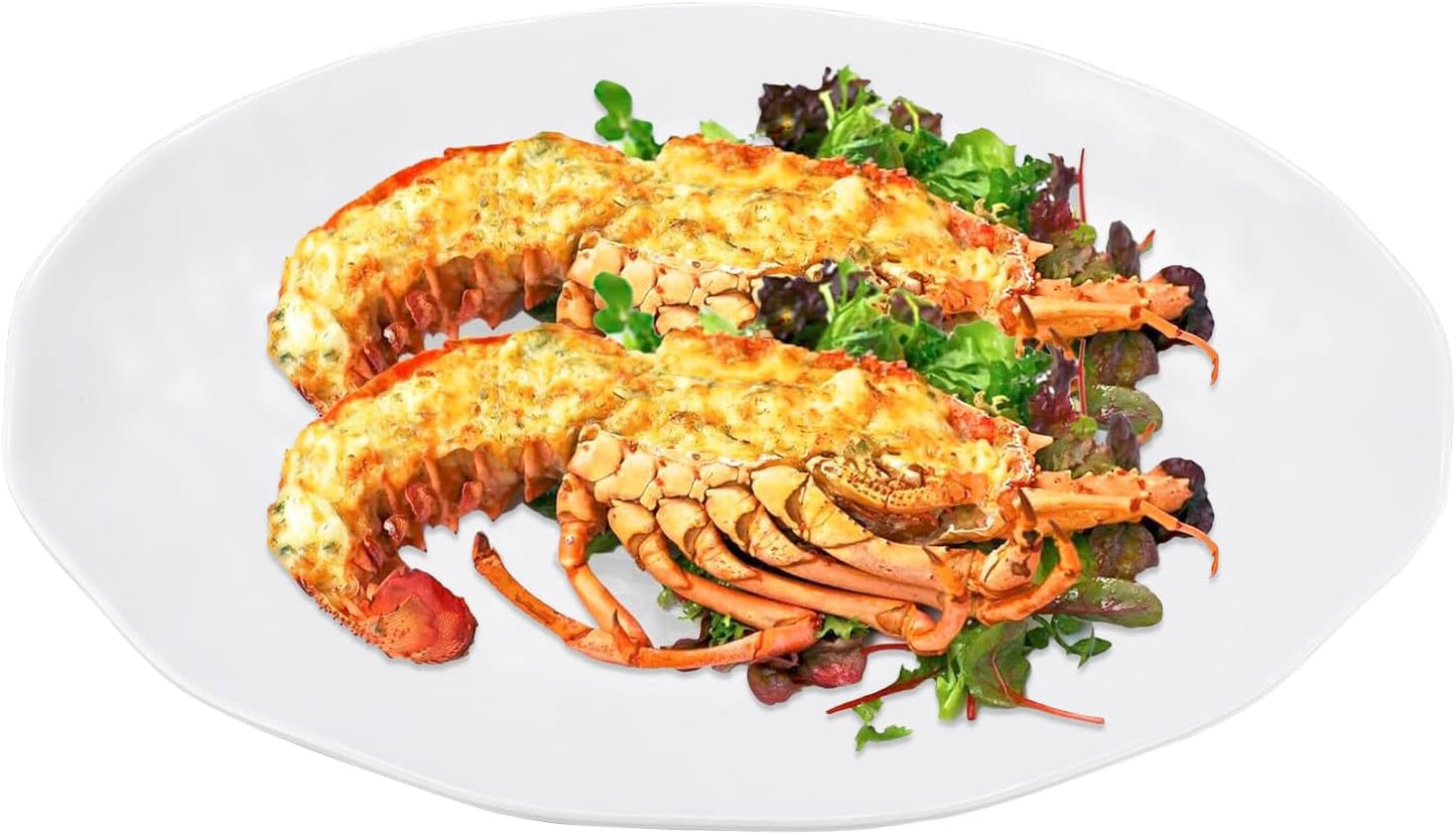 Yalin Oval Large Serving Platter, 16 Inch Melamine Serving Tray, Great for Restaurant, Steak, Salad and Everyday, Set of 2 White Dinner Plates