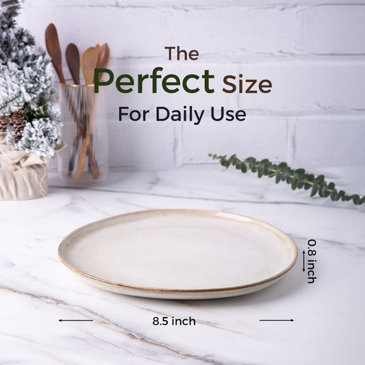 AmorArc Ceramic Plates Set of 6, 8.5 Inch Handmade Reactive Glaze Stoneware Plates set for Dessert, Salad, Appetizer, Dinner, Microwave & Dishwasher Safe, Scratch Resistant-Cappuccino