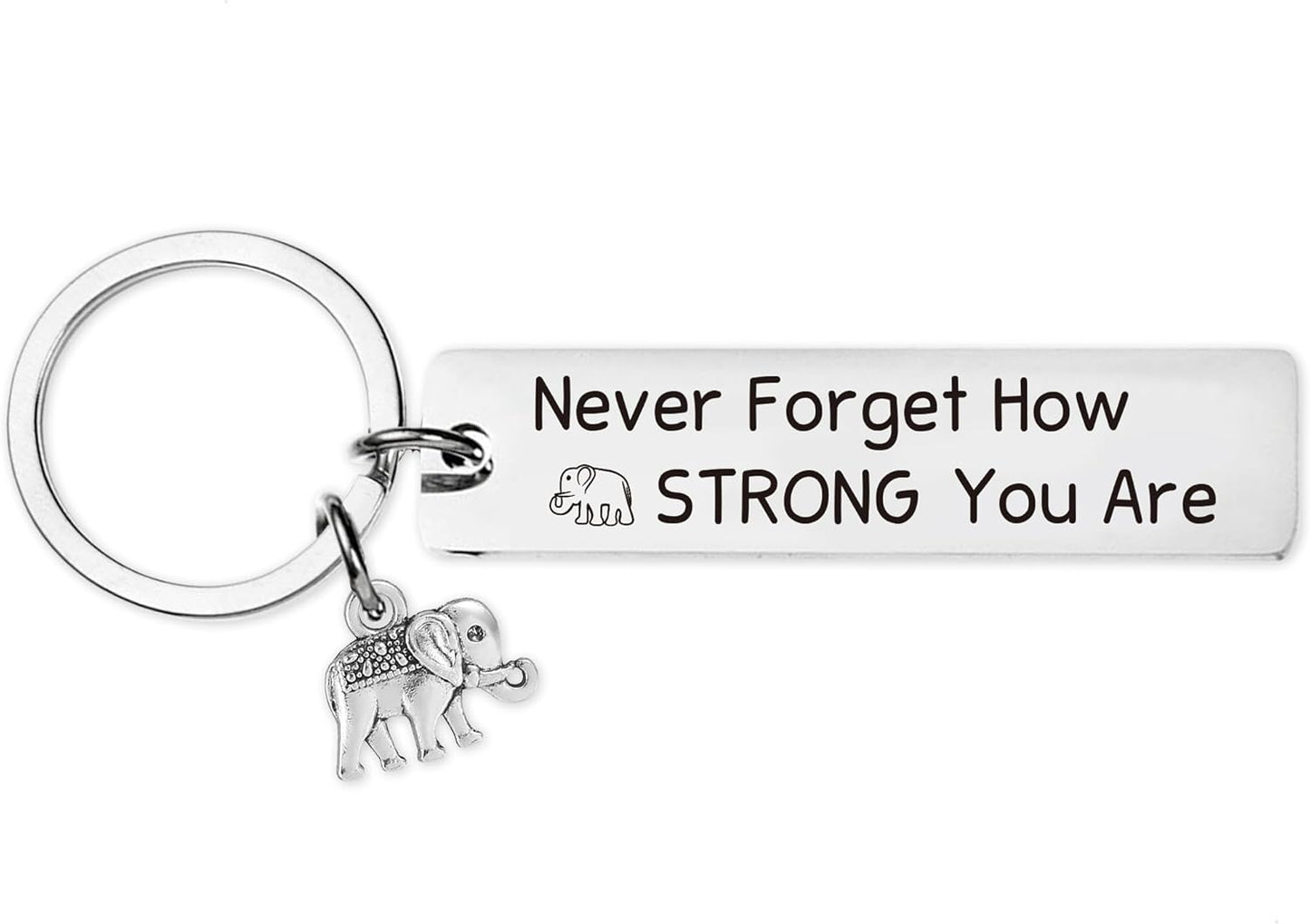 Inspirational Gifts Motivational Keychains - Elephant Dragon Flamingo Encouragement Uplifting Gift for Men Women Christmas
