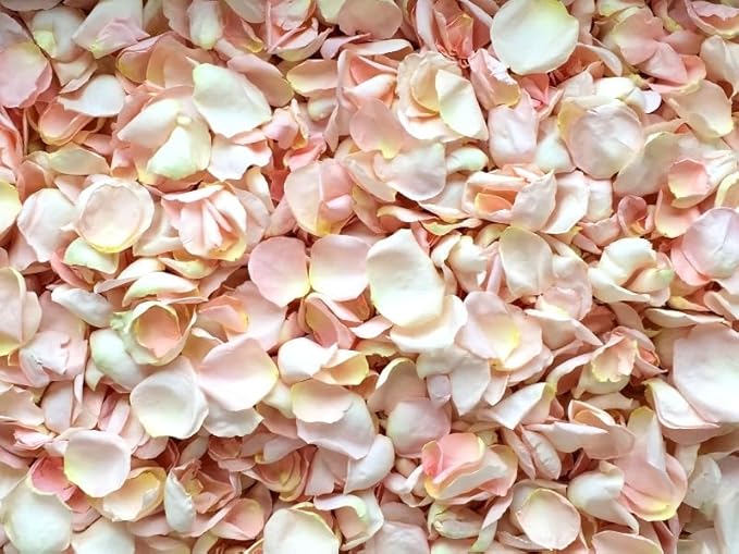 Rose Petals for Wedding Decoration, Bridal Toss, and Aisles, 10 cups, Freeze Dried, Use within 1 month (Blush)