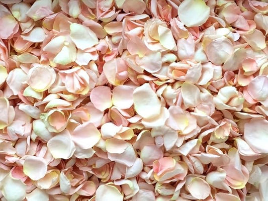 Rose Petals for Wedding Decoration, Bridal Toss, and Aisles, 10 cups, Freeze Dried, Use within 1 month (Blush)