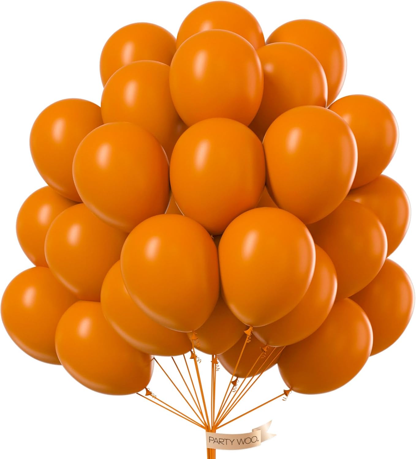 PartyWoo Burnt Orange Balloons 100 pcs 12 Inch Terracotta Rust Fall Color Balloons for Graduation Thanksgiving Halloween Baby Shower Birthday Party Decorations Orange-F53