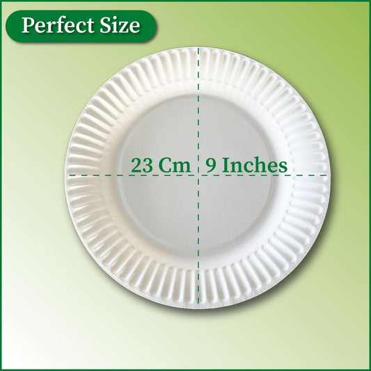9 Inch Paper Plates Uncoated 1200 Count, Disposable White Paper Plates, For Everyday Breakfast, Lunch, Dinner, & Events (Case of 12 Packs of 100)