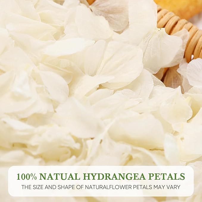 1500pcs Real Dried Ivory White Hydrangea Flower Petals, Natural Dried Petals for Wedding Decor, Valentine's Day, Proposal & Romantic Night, Flower Girl Baskets, Craft & DIY Projects (1.06oz/30g)
