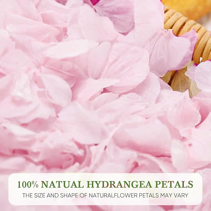1500pcs Real Dried Pink Hydrangea Flower Petals, Natural Dried Petals for Wedding Decor, Valentine's Day, Proposal & Romantic Night, Flower Girl Baskets, Craft & DIY Projects (1.06oz/30g)