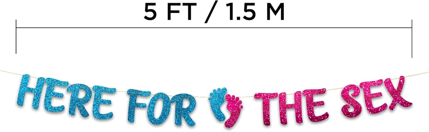 Gender Reveal Party Banner – Pink and Blue Baby Shower Decorations
