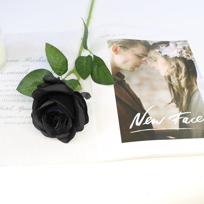 Black Artificial Roses Flowers, 12 Pcs Fake Rose in Bulk, Long Stem Realistic Silk Roses Bouquet for Centerpieces Flower Arrangement, Halloween Home Decor, Gothic Decoration (Black, 12-PCS)