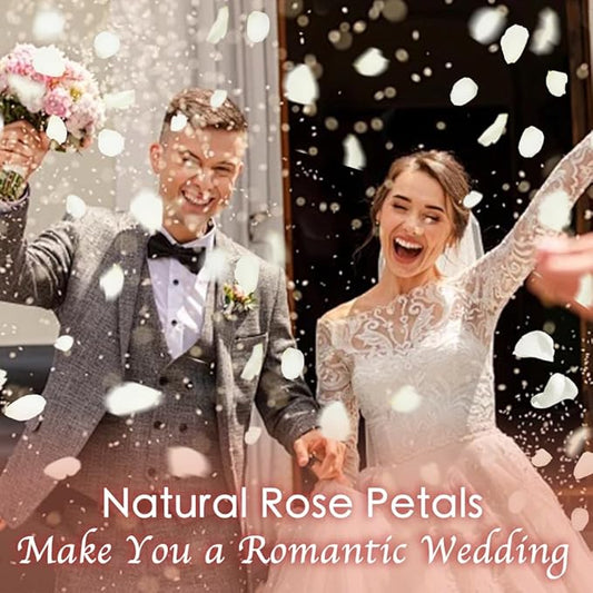 Real White Rose Petals for Weddings, 1.75oz Freeze Dried Preserved Flower Petals for Flower Girl, Table Scatter, Romantic Proposal Décor, Biodegradable Party Confetti (50g)