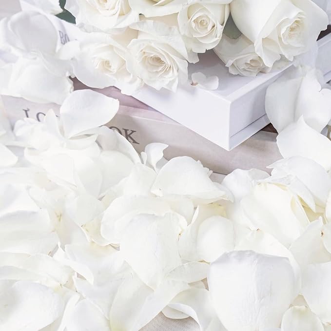 Dried Real White Rose Petals 2.1 oz, Freeze Dried Biodegradable Flower Petals, Natural White Flower Confetti for Wedding, Party Confetti, Flower Girl Petals, Valentine's Day, Bridal Shower Decorations