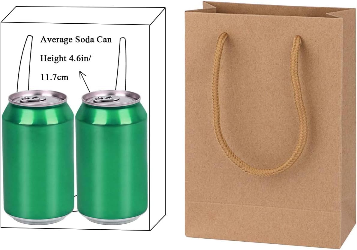 driew Kraft Gift Bags, Small Brown Paper Favor Bags with Handles Kraft Paper Bags 5x2x7.5 inches with Cotton Handle for Party Craft Takeouts Business,Shopping Pack of 100