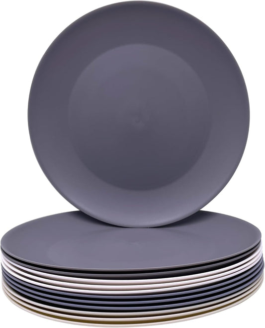 AOYITE Plastic Dinner Plates Reusable, Unbreakable Salad Plates set of 12, BPA Free Microwave & Dishwasher Safe Party Plate for Any Occasion, BBQ, Travel, Events