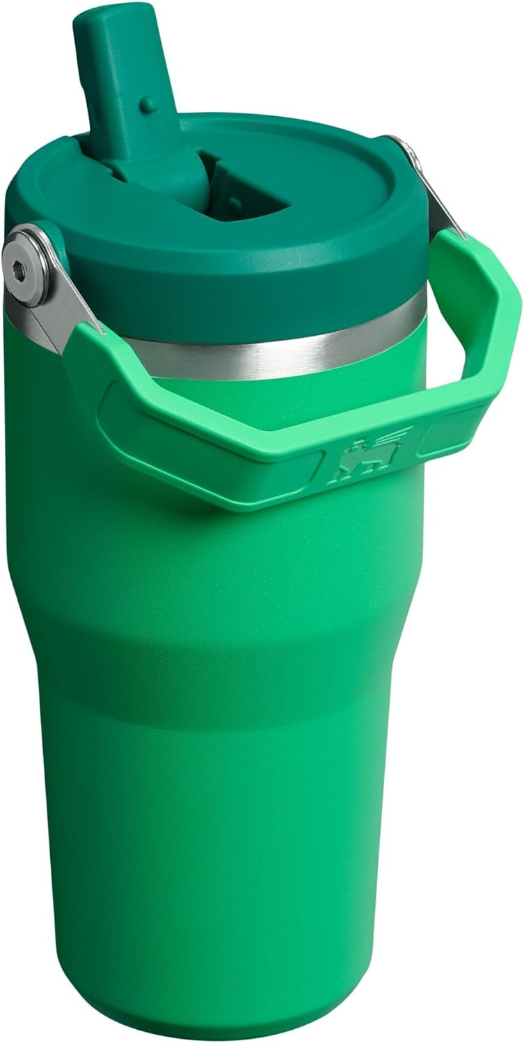 STANLEY IceFlow 2.0 Flip Straw Tumbler with Handle 20 oz | Twist On Lid and Flip Up Straw | Leak Resistant Water Bottle | Insulated Stainless Steel | BPA-Free | Meadow