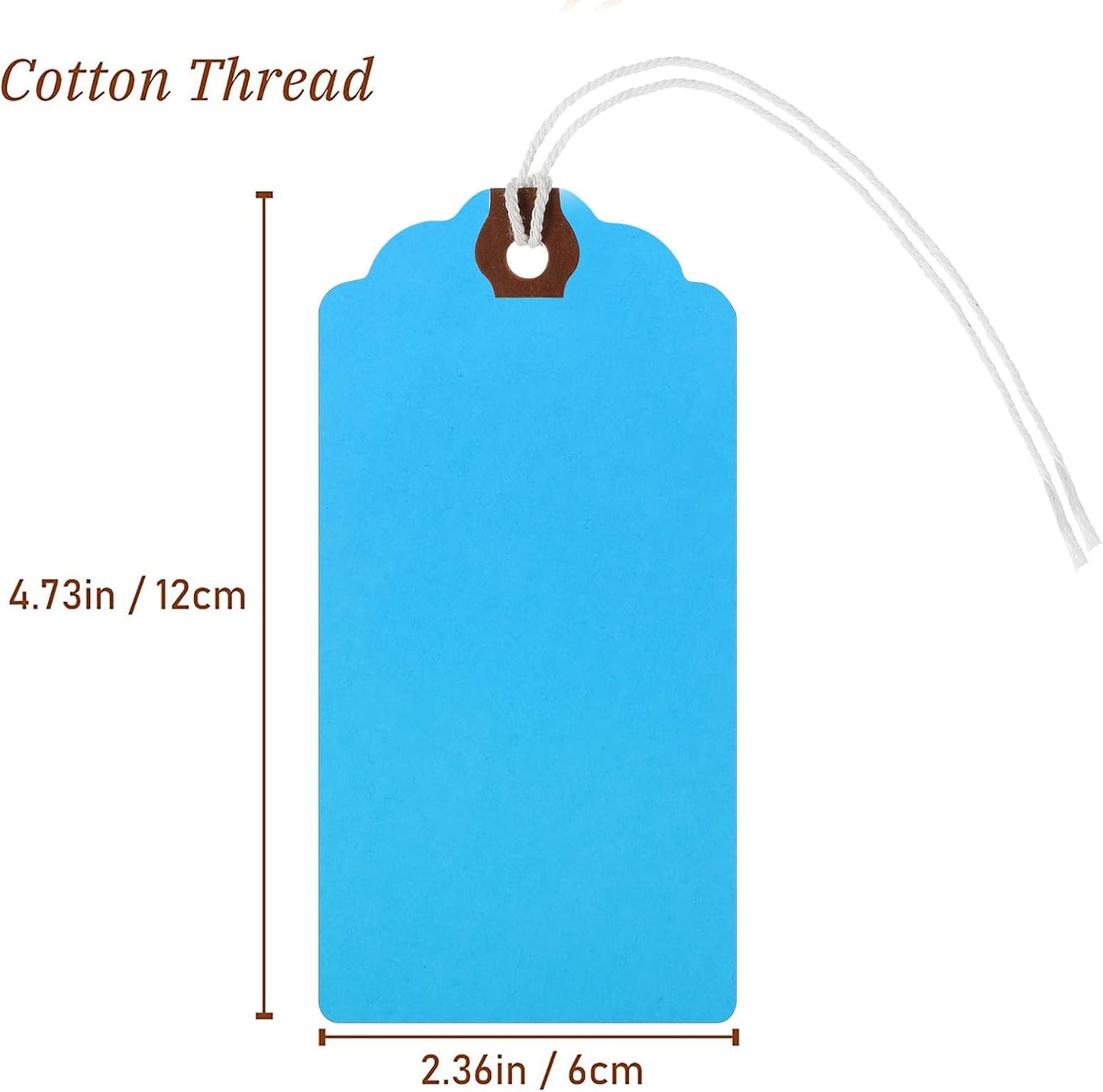 Outus 60 Pcs 4 3/4-in x 2 3/8-in Blank Large Paper Gift Tags with String and Reinforced Eyelet Wire Writable Price Tags Shipping Labels Inventory Labels(Rainbow Colors)