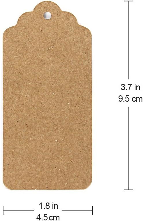 300 Feet Natural Jute Twine and 100PCS Brown Rectangle Kraft Paper Gift Tags for Crafts & Price Tags Labels by Blisstime