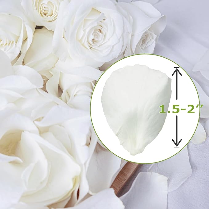 Dried Real White Rose Petals 2.1 oz, Freeze Dried Biodegradable Flower Petals, Natural White Flower Confetti for Wedding, Party Confetti, Flower Girl Petals, Valentine's Day, Bridal Shower Decorations