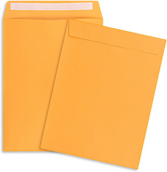 9x12 Envelopes Self Seal 50 Pack Manilla Envelopes Catalog Mailing Envelopes 9x12 Self Sealing Envelopes for Photos,Cards,Documents