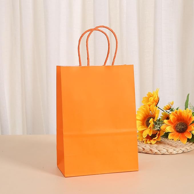 piqiya 24pcs Orange Gift Bags with Handles,Small Paper Bags for Halloween Party Favors,Birthday,Wedding,Salmon Treat Bag Multiple Uses,Trick or Treat Bags Candy Bag